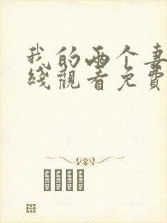 我的两个妻子在线观看免费版电视剧全集