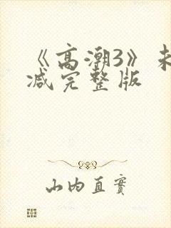 《高潮3》未删减完整版