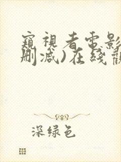 窥视者电影(无删减)在线观看