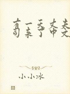 有一天丈夫的上司来了中文版日剧封面