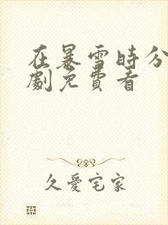 在暴雪时分电视剧免费看封面