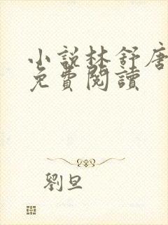 小说林舒唐亦琛免费阅读