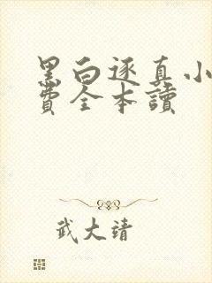 黑白逐真小说免费全本读