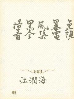 扫黑风暴免费观看全集电视剧