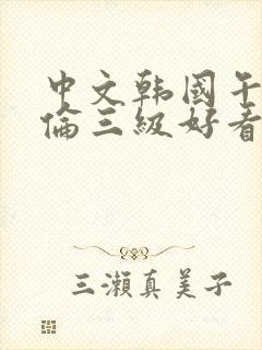 中文韩国午夜理伦三级好看