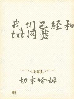 我们已经和离了txt网盘封面