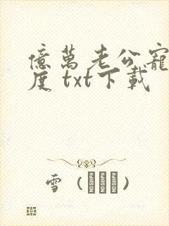 亿万老公宠妻无度 txt下载