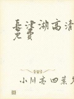 长津湖高清完整免费封面