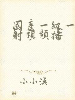 国产一级一片内射视频播