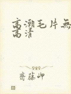 高潮毛片无遮挡高清封面