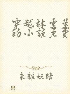 穿越林云叶婉清的小说免费阅读