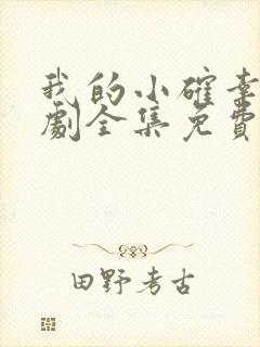 我的小确幸电视剧全集免费播放