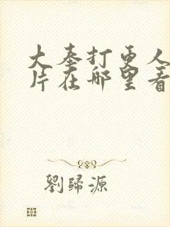 大奉打更人动画片在哪里看