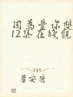 因为爱你双男主12集在线观看