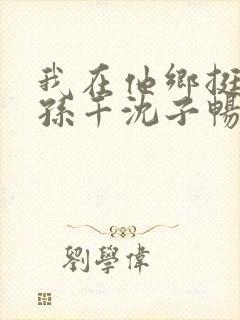 我在他乡挺好的孙千沈子畅结局封面