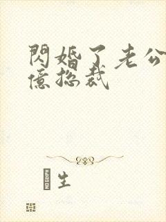 闪婚了老公是千亿总裁封面