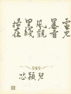 扫黑风暴电视剧在线观看免费完整版封面