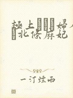极上セレブ妇人と北条麻妃封面