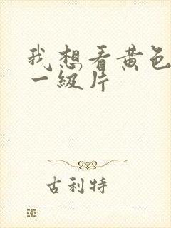 我想看黄色录像一级片