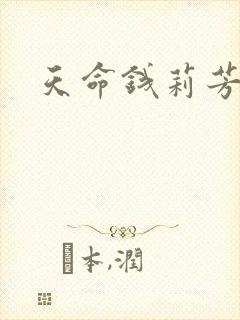 天命钱莉芳封面