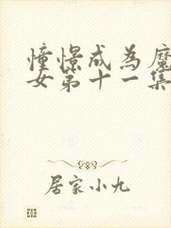 憧憬成为魔法少女第十一集封面