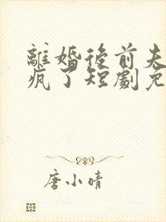 离婚后前夫他悔疯了短剧免费观看