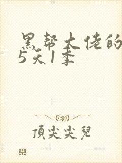 黑帮大佬的365天1季封面