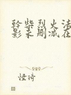 干柴烈火法国电影未删减在线封面