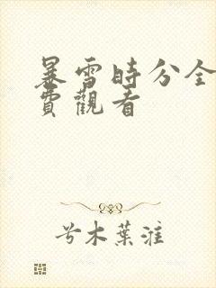 暴雪时分全集免费观看