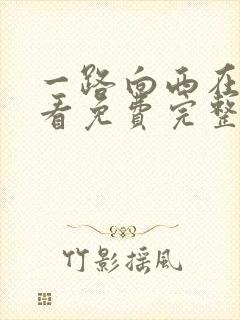 一路向西在线观看免费完整版国语电影封面