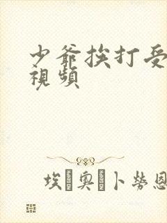 少爷挨打受罚的视频