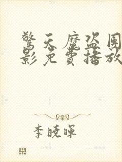 惊天魔盗团4电影免费播放