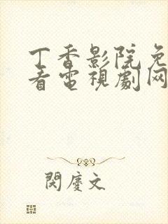 丁香影院免费观看电视剧网站封面