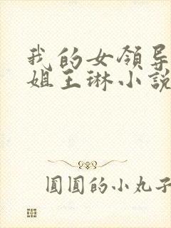 我的女领导们陈姐王琳小说