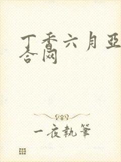 丁香六月亚洲综合网