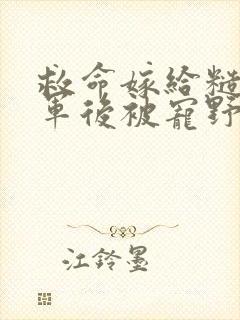 救命嫁给糙汉将军后被宠野了免费阅读