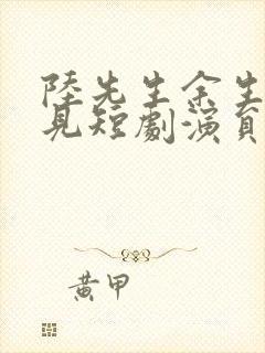 陆先生余生不再见短剧演员表封面