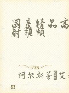 国产精品高潮内射视频