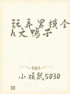 玩弄男模全肉高h文鸭子封面