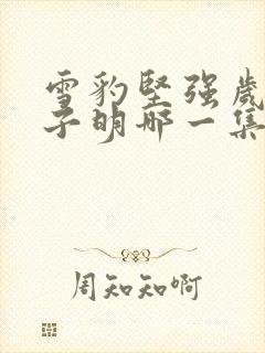 雪豹坚强岁月朱子明哪一集死的封面