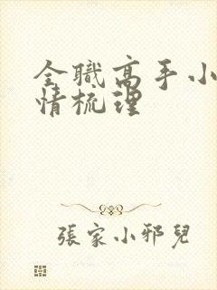 全职高手小说剧情梳理封面