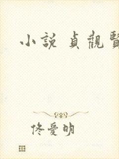 小说 贞观贤王封面