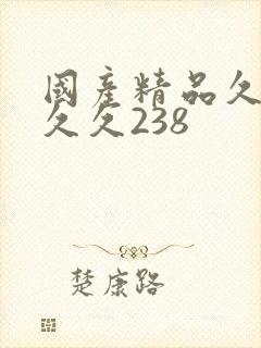 国产精品久久久久久238