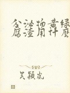 分泌物黄绿色豆腐渣用什么药