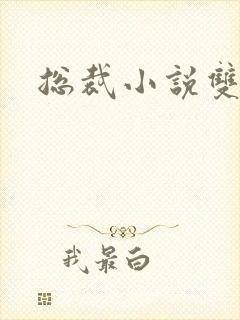 总裁小说双男主