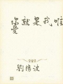 你就是我唯一的爱