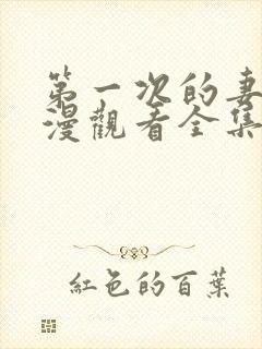 第一次的妻子动漫观看全集完整版