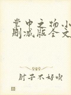 掌中之物小说无删减版全文阅读