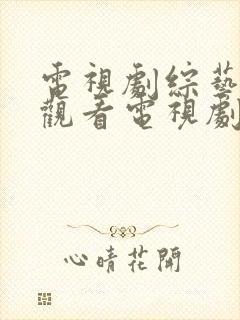 电视剧综艺免费观看电视剧大全在线观看封面