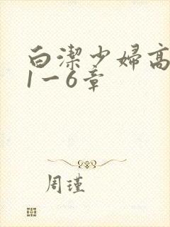 白洁少妇高义第1一6章